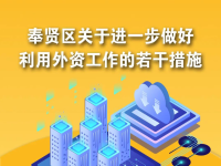 奉贤区关于进一步做好利用外资工作的若干措施