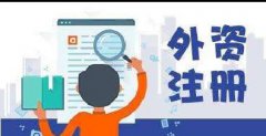 注册专家王老师解答什么是外资企业？-上海奉贤经济园区，优惠注册公司！！